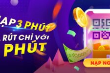 Chơi cá cược thể thao uy tín tại QQ188, Bk8bong, Nhat vip